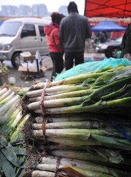 瘋狂的大蔥囤貨風(fēng)波 經(jīng)銷商獲利千萬與酒業(yè)的警示